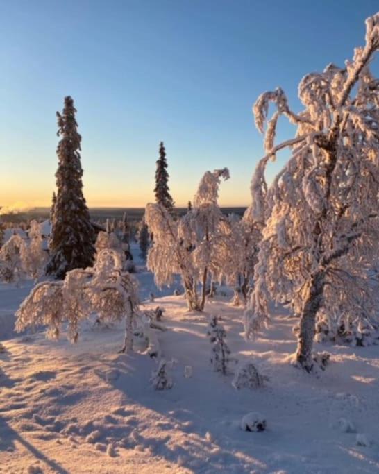 Seitapolku 12 Villa Saariselkä Extérieur photo